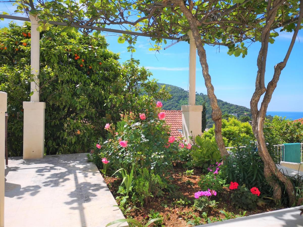 Beautiful Sea View Apartments ドゥブロブニク エクステリア 写真